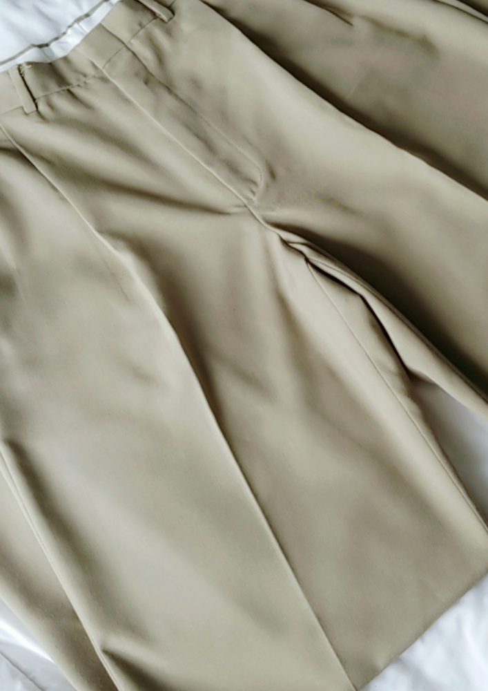 Men's Dress Slacks - Picture 2 of 5